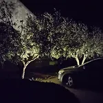 Dgm شقة